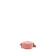 Chanel 19 Round Purse With Chain Sequins Pink Multicolour Hardware For Cheap