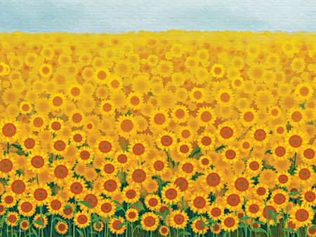 ST1004 - Field of Sunflowers - 16x12 Online now